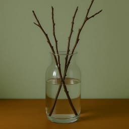 Zweige in Vase